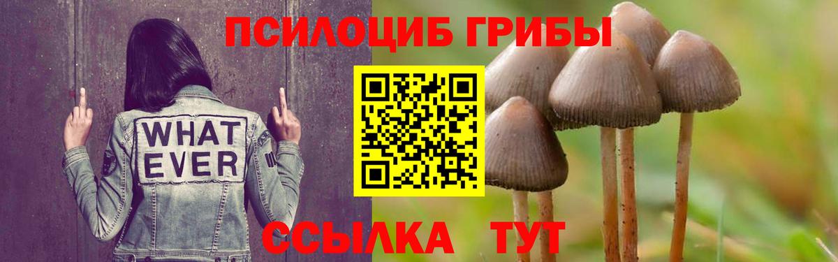 Галлюциногенные грибы Cubensis Большой Камень